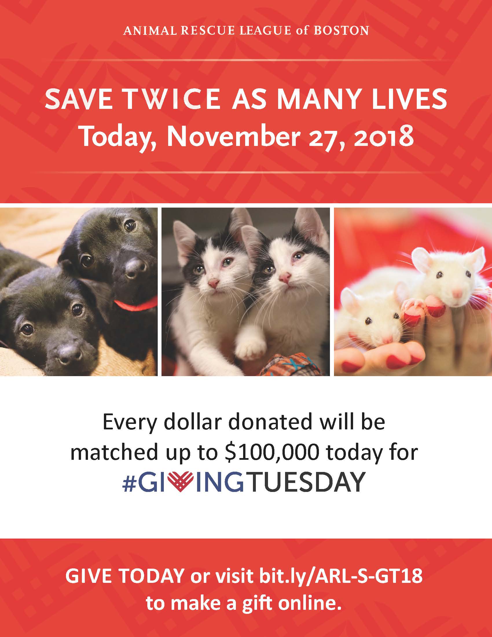 GivingTuesday2018_flyer.jpg