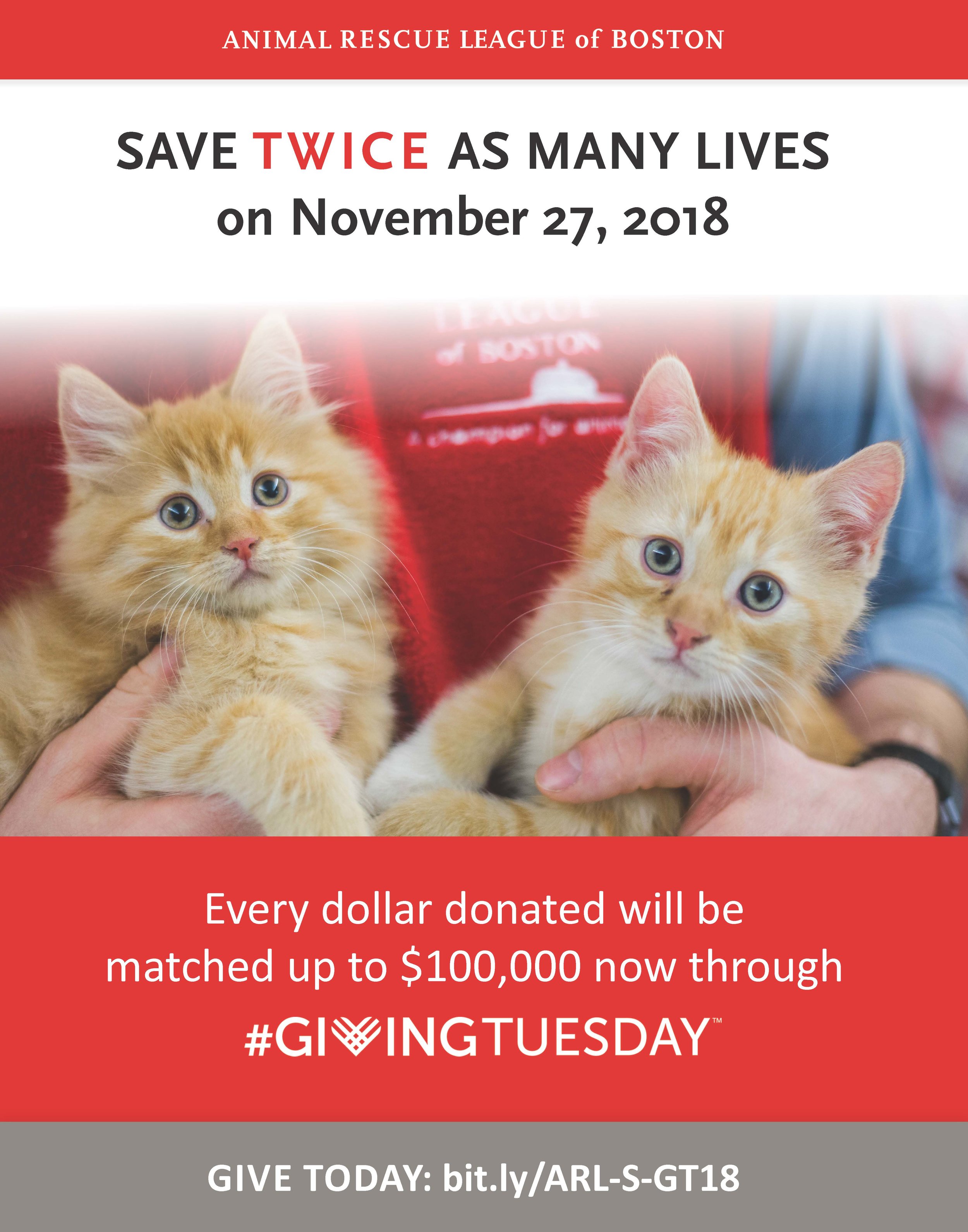 GivingTuesday2018_Sign_22x28_V2.jpg