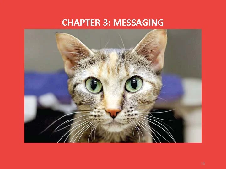 Branding and Messaging Manual (1)_Page_16.jpg