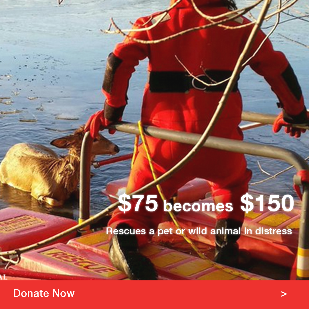 Instagram_ad-4.png