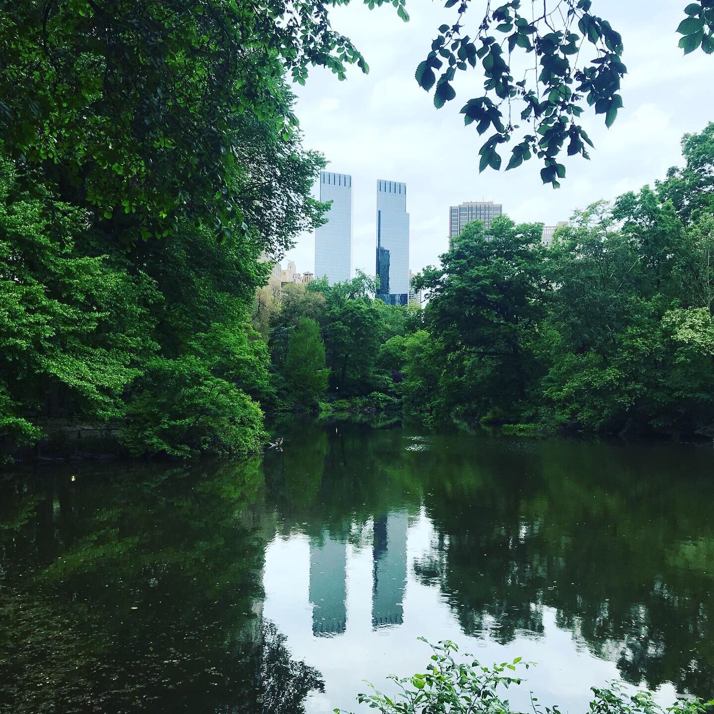 Central Park, New York City