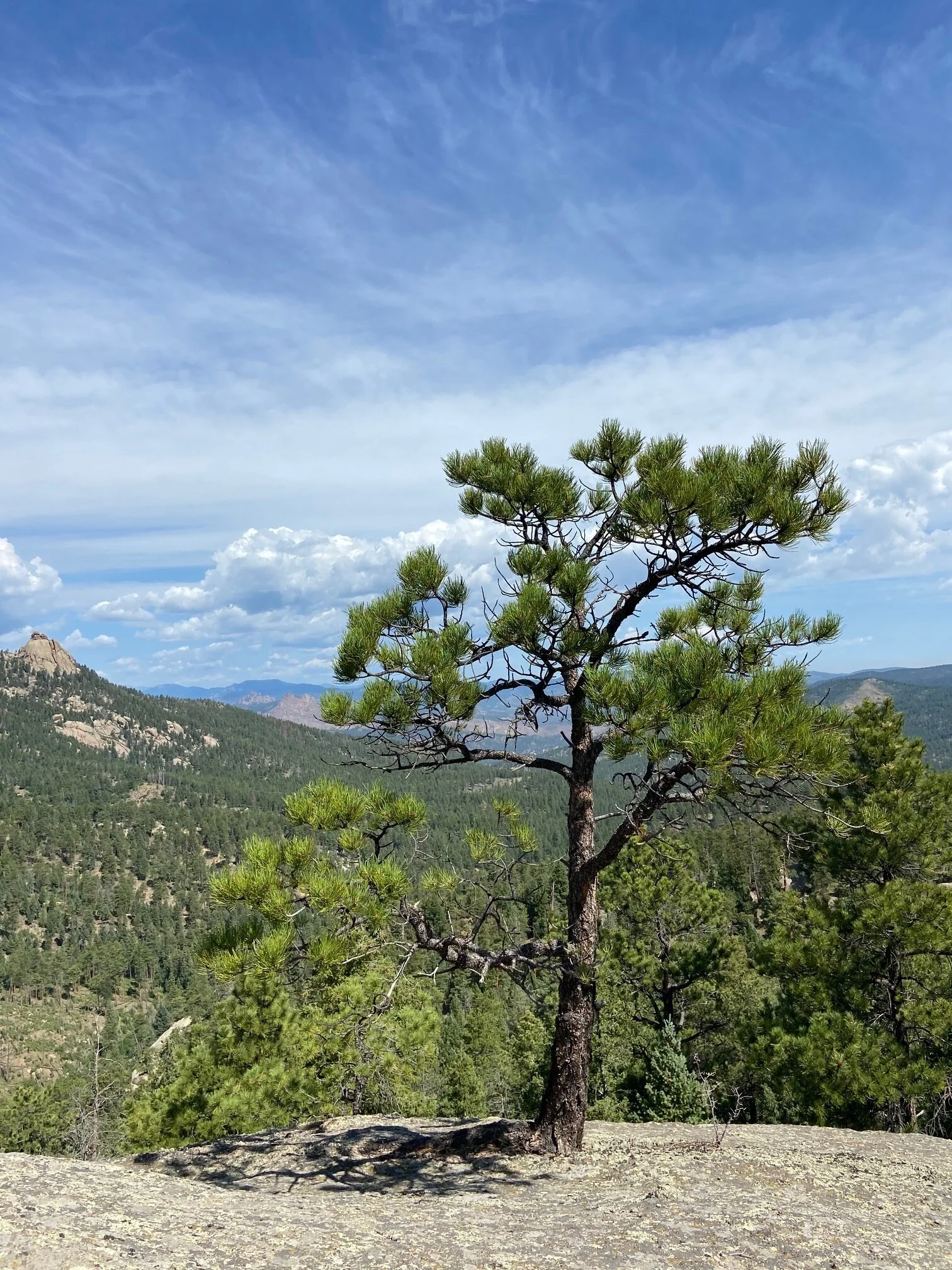 Three Promises To Keep You Going