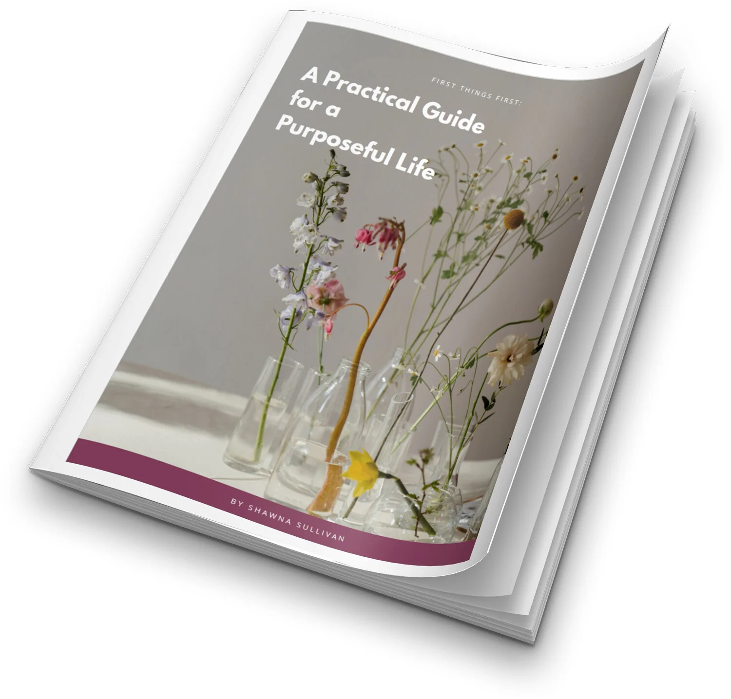 Practical Guide for a Purposeful Life
