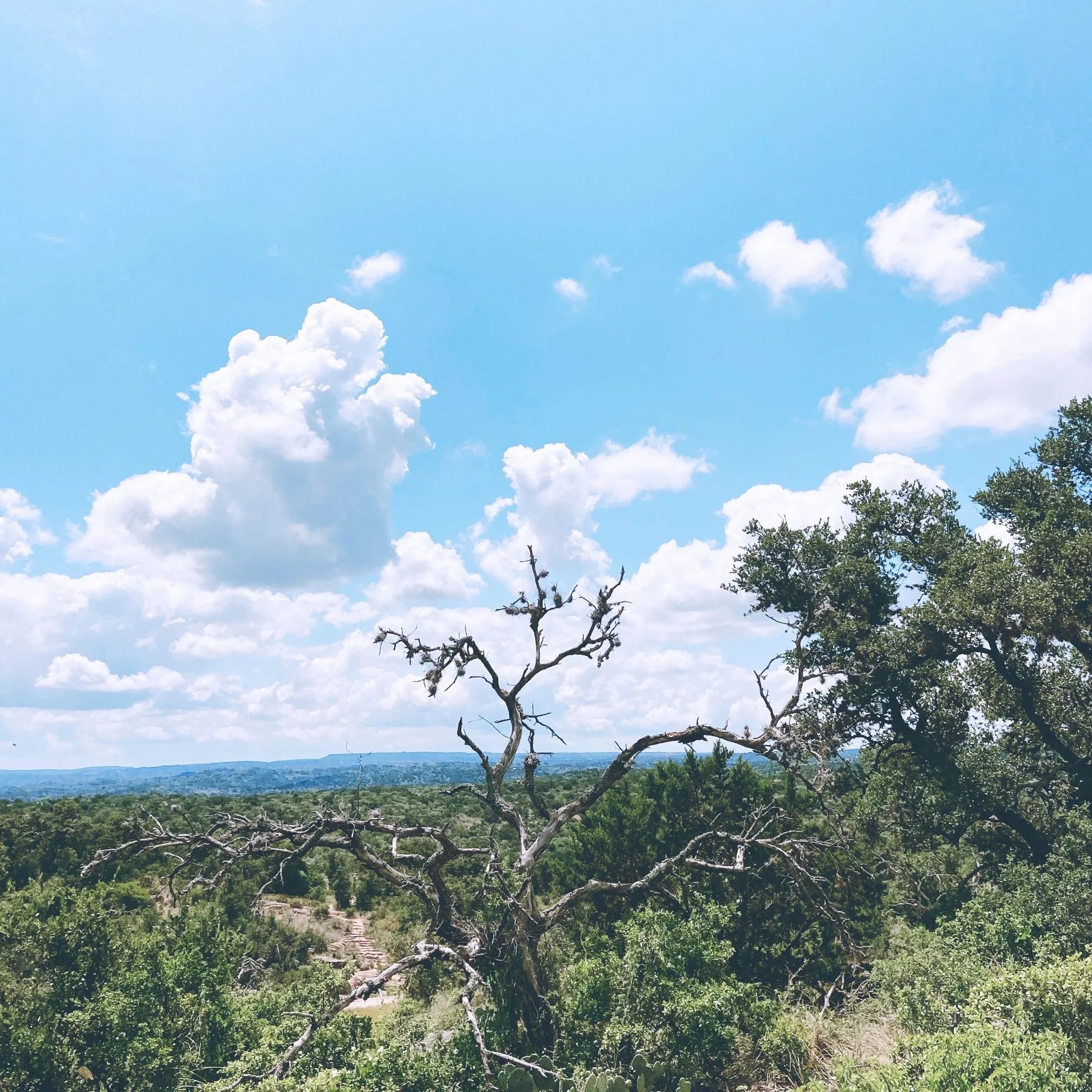 Balm for the Brokenhearted: Affirmations to Quiet Your Anxious Heart