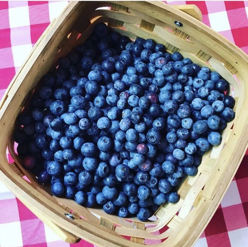 Simple Summer Recipes To Try Today