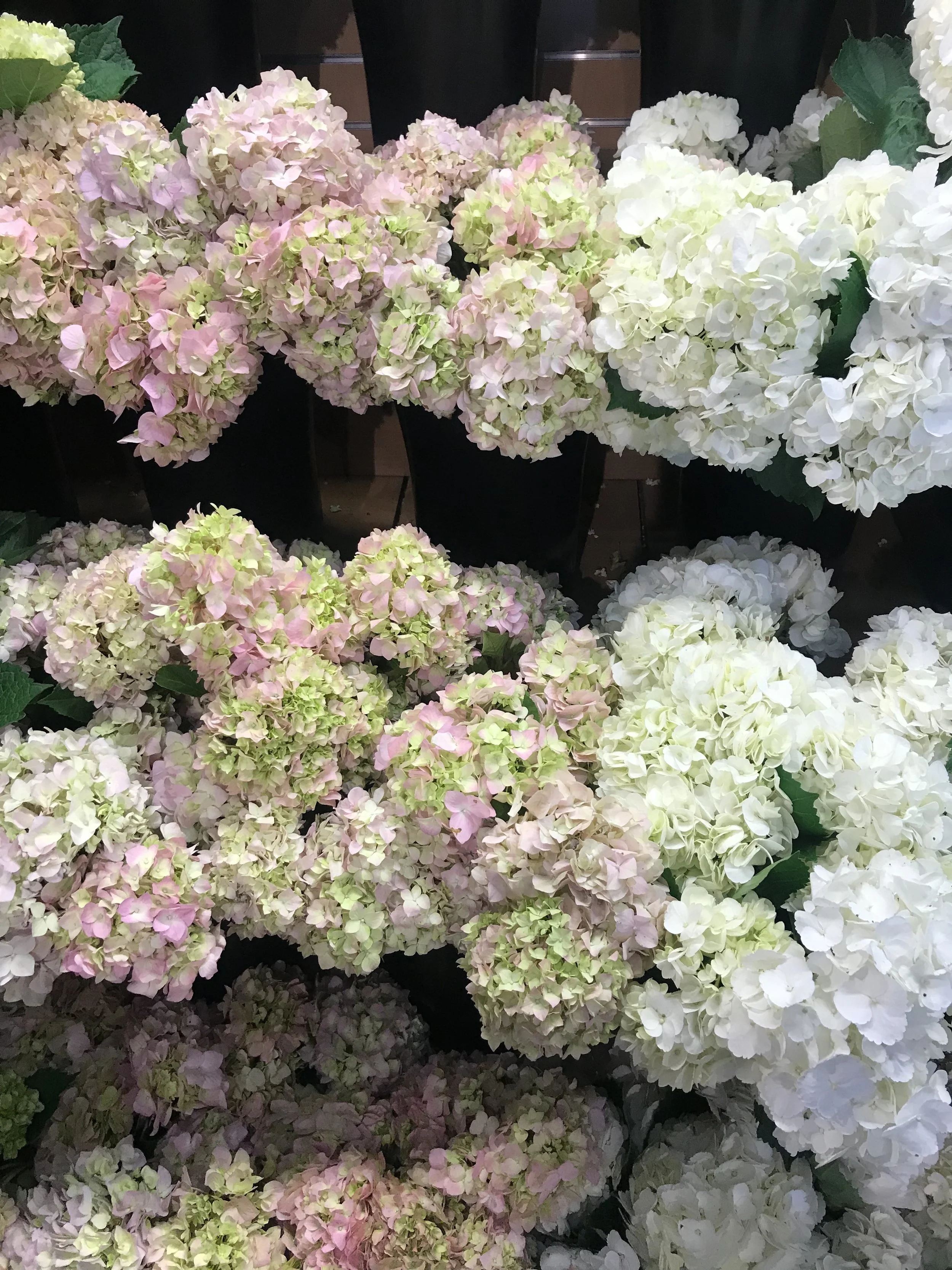 When You're Desperate For Renewal