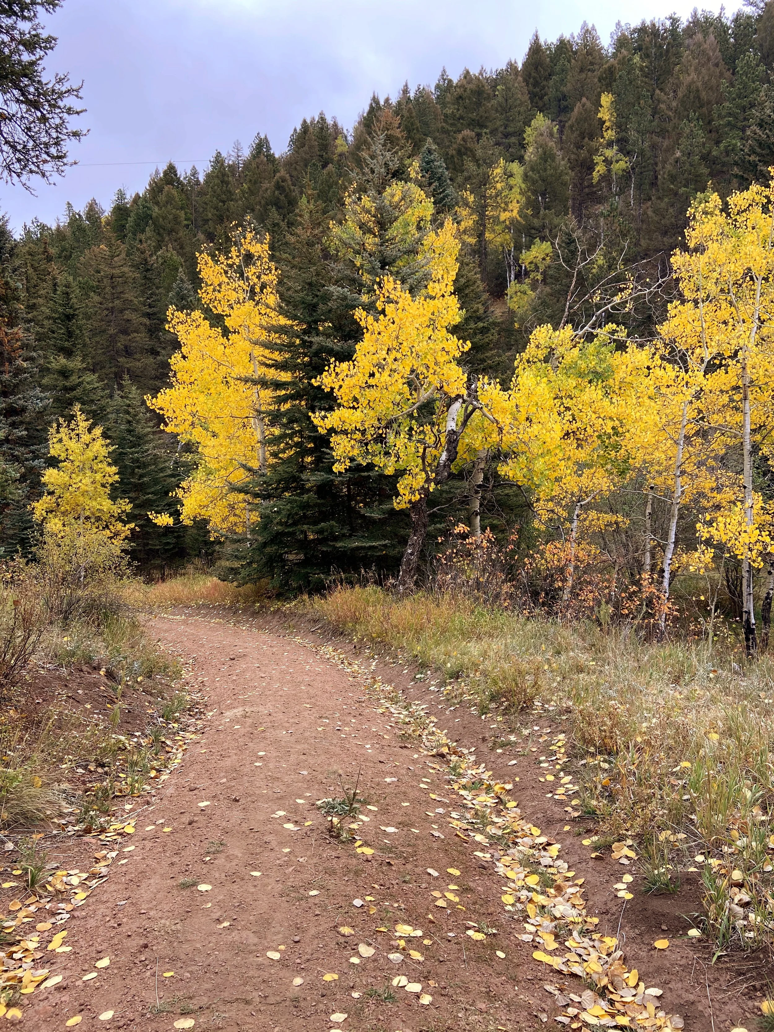 3 Truths When You Wish You Could Escape Suffering