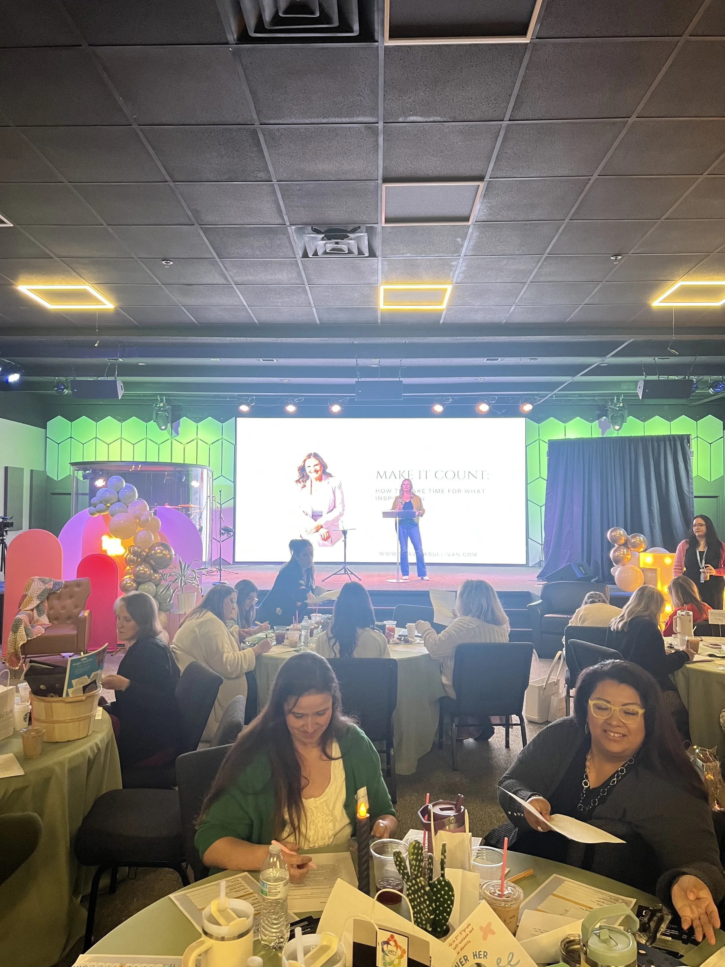 INSPIRE Conference Far away.JPEG