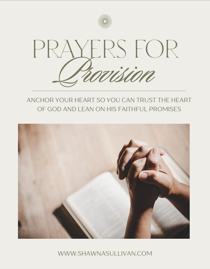 Prayers for Provision Cover Photo.png