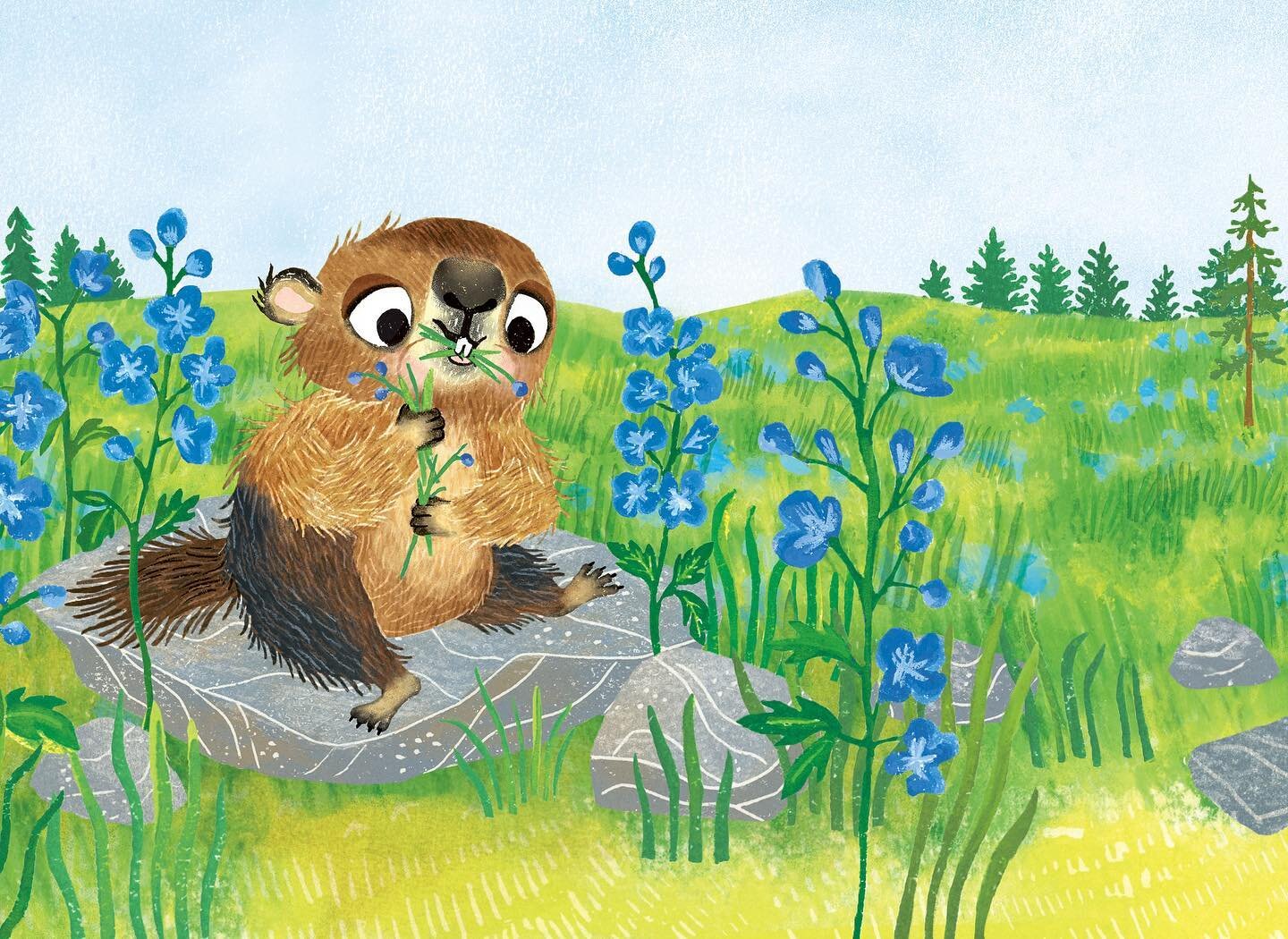 🌸 Spring is on its way and it reminds me of this scene of marmot munching on wildflowers from I AM FRIENDLY written by Kristen Tracy. Available May 21 by @mackidsbooks