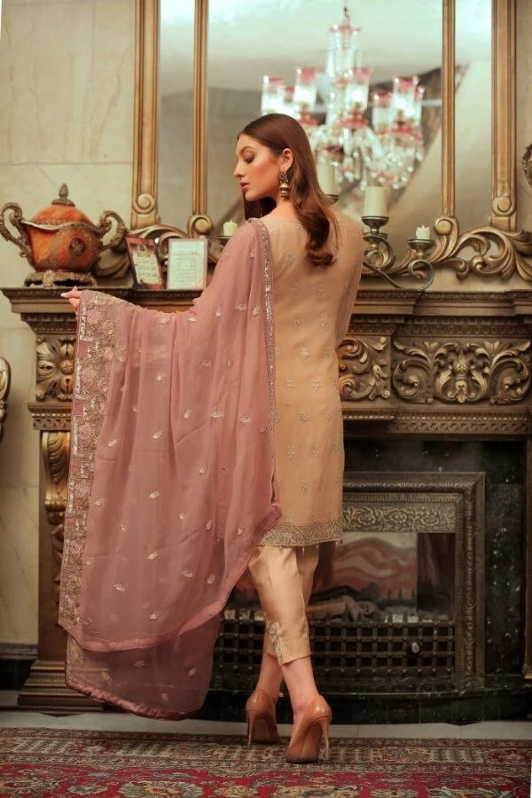 Designer Salwar kameez Designer Punjab Suits Pakistani Salwar Kameez