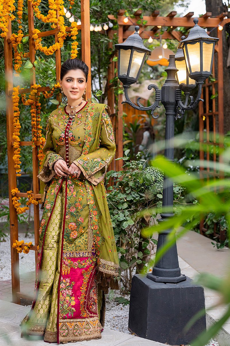 Designer Punjabi Suit.jpeg