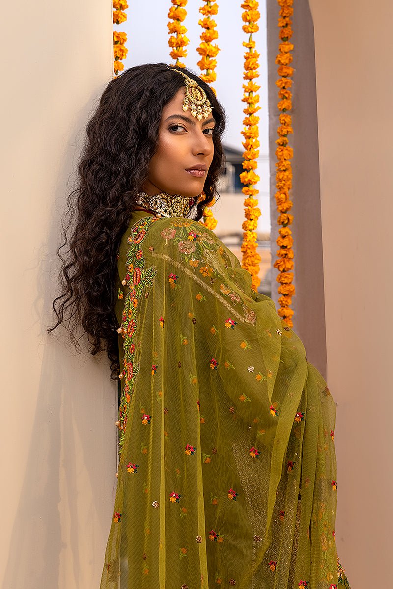 Punjabi Suit.jpeg