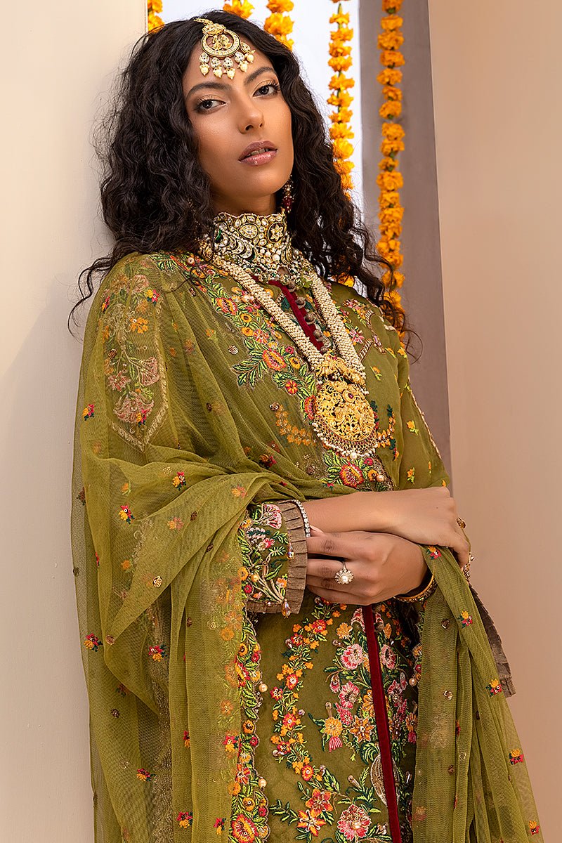 Punjabi Suits.jpeg