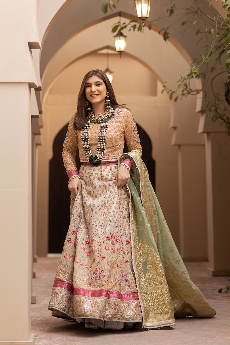 Designer Punjabi Suits.jpeg