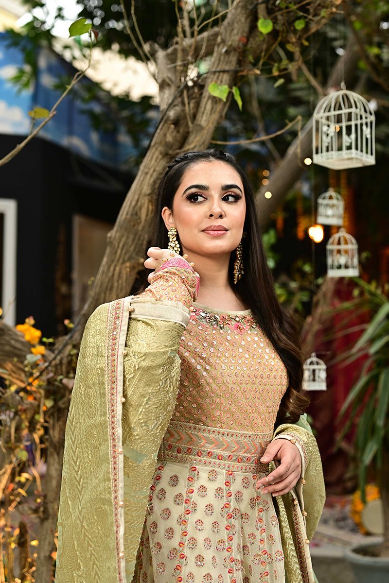 Pakistani Salwar Kameez.jpeg