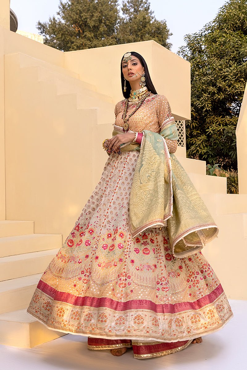 Punjabi Suits.jpeg