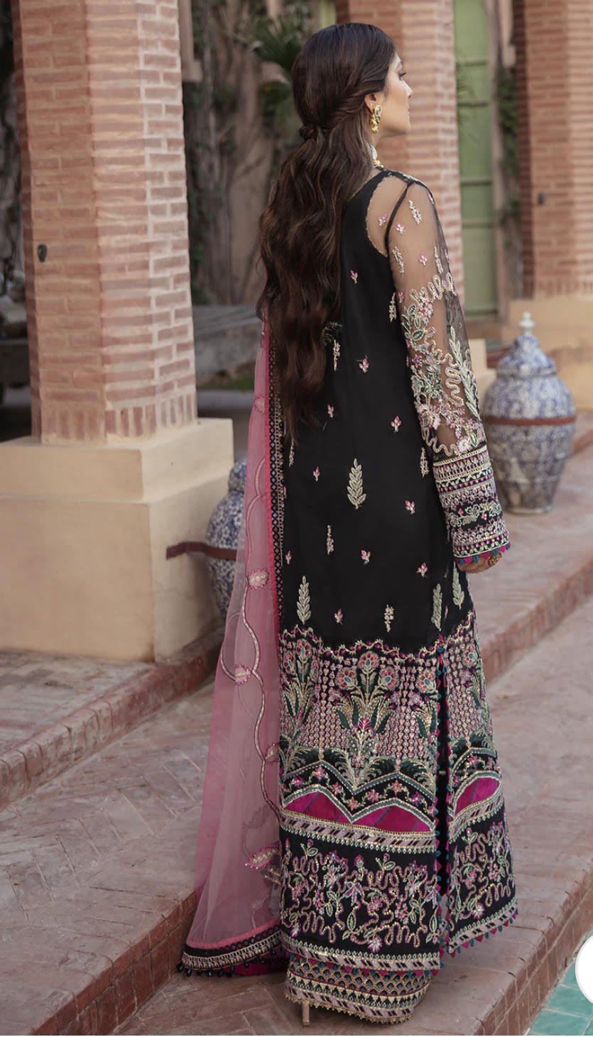 Designer Punjabi Suits.jpeg
