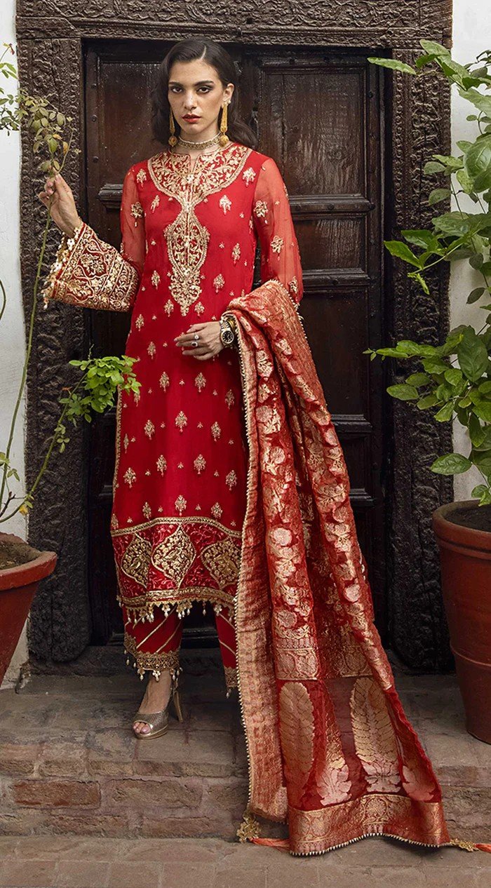 Pakistani Embroidered Chiffon Suits Stitched 3 Piece AKW22-07 Hiranur_ANA_02 - Wedding Collection | Latest Pakistani Punjabi Suits Salwar Kameez
