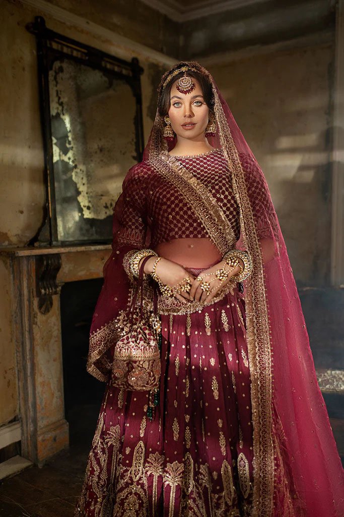 Designer+Punjabi+Suit (2).jpeg