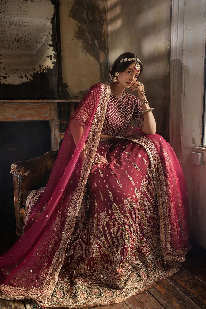 Designer+Punjabi+Suit (1).jpeg