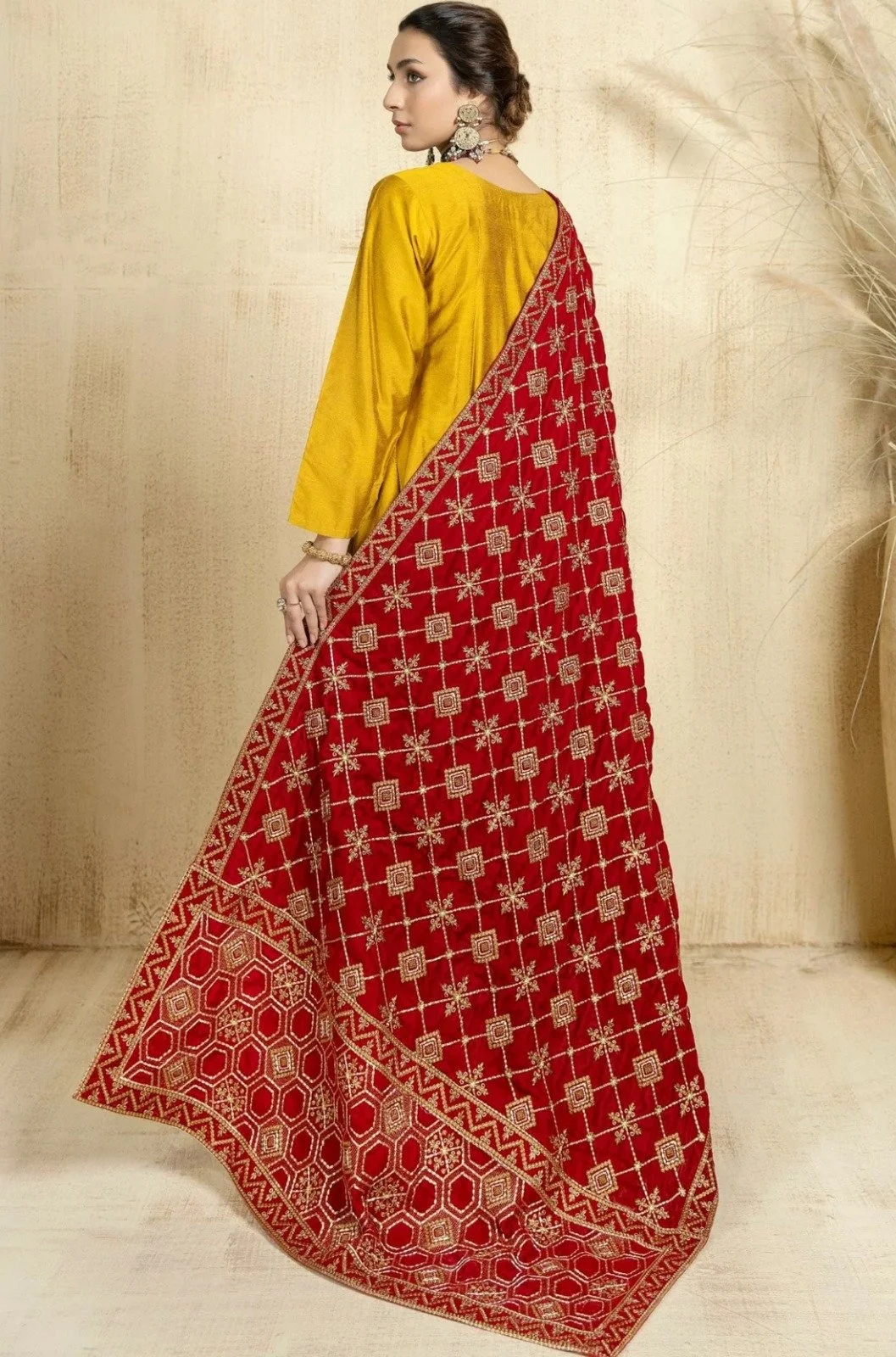 punjabi suit shawl