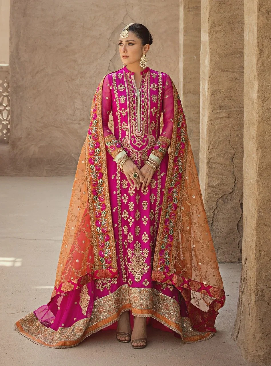 Buy Pakistani Suits Online | Pakistani Salwar Kameez