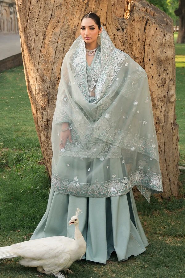 Pakistani Salwar Kameez.jpeg