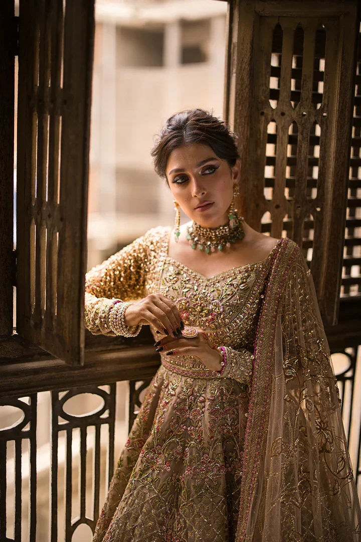 pakistanidesignerdresses-169788906654_1f640d32-a6fe-48fa-a1e4-bff28b7c19c5.webp