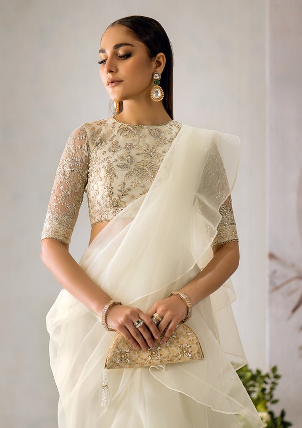 aik-atelier-the-sari-edit-look-07-5.jpg