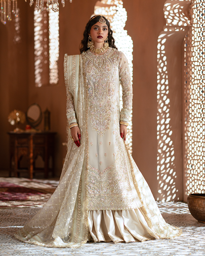 Mughal Raniya Stitched Embroidered Organza Dress - Ruhaani Begum