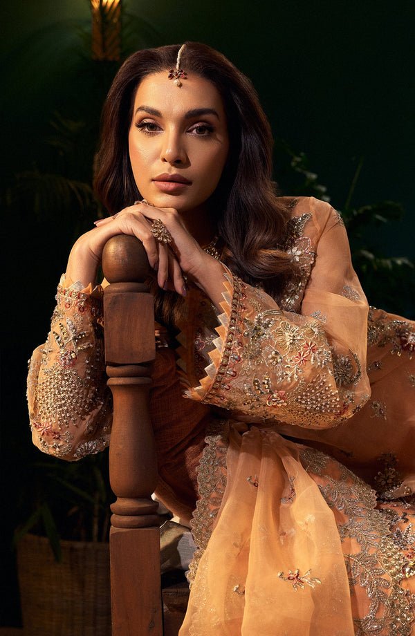 Pakistani Embroidered Net Suit 3 Piece Unstitched MORGANITE FB_15 | Latest Pakistani Punjabi Suits Salwar Kameez Designer Wear.