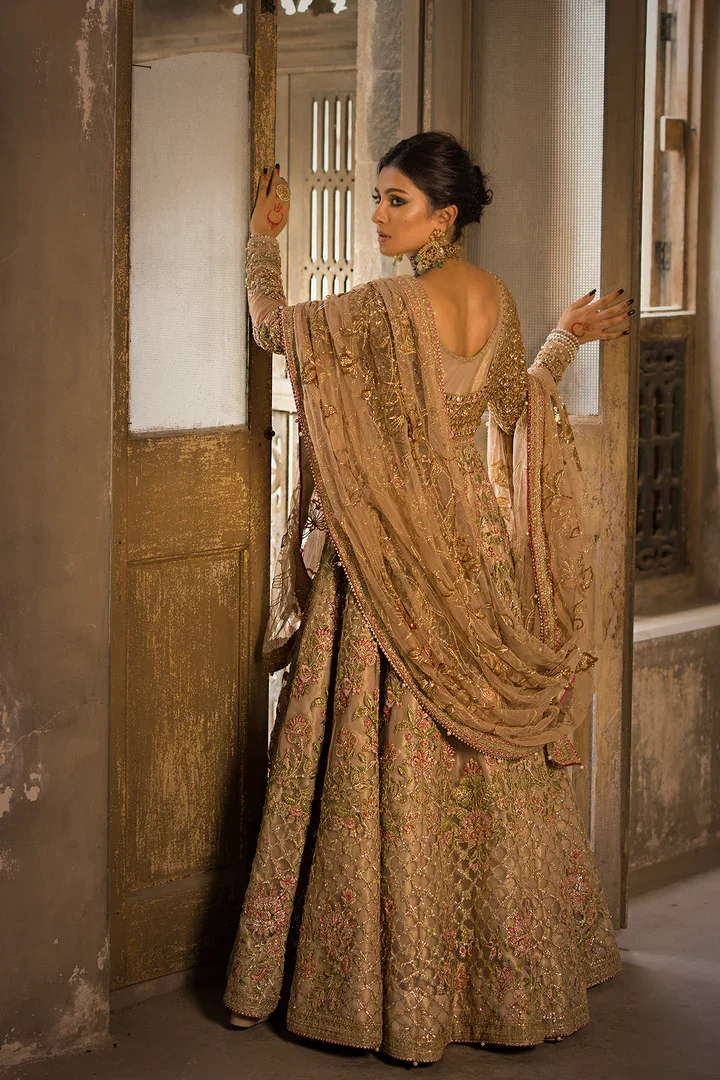 pakistanidesignerdresses-169788907117_e6914675-cd98-4772-a050-c947ab67d897.webp