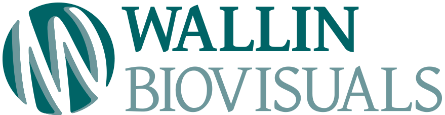 Wallin Biovisuals