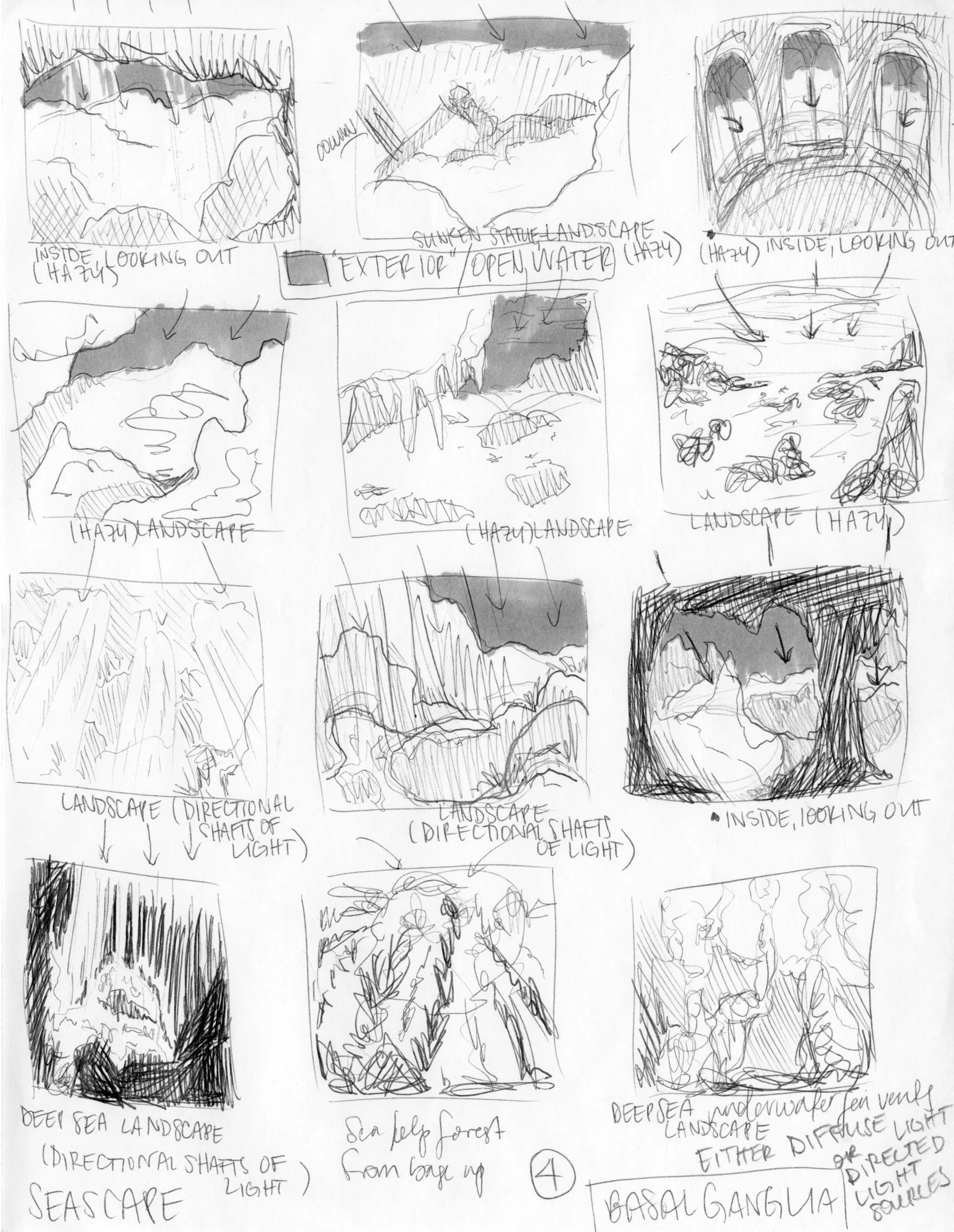 Basal Ganglia Region