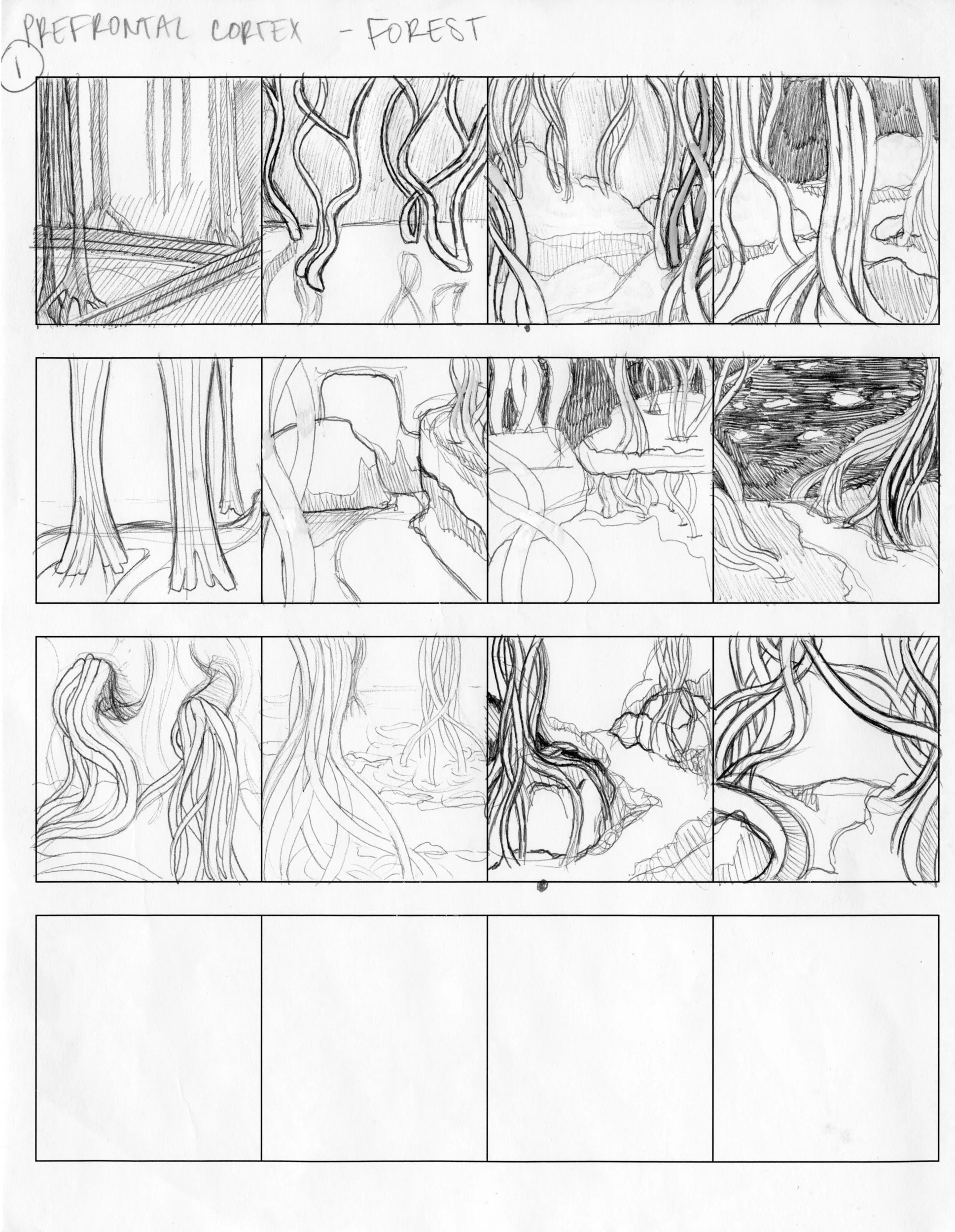 Prefrontal Cortex Region