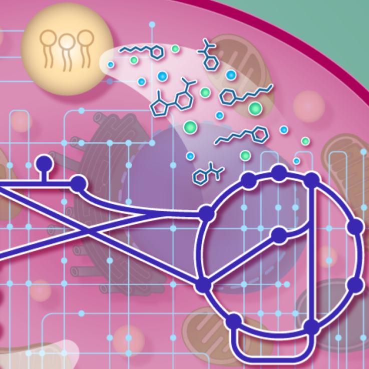 Yeast-proteasome.png