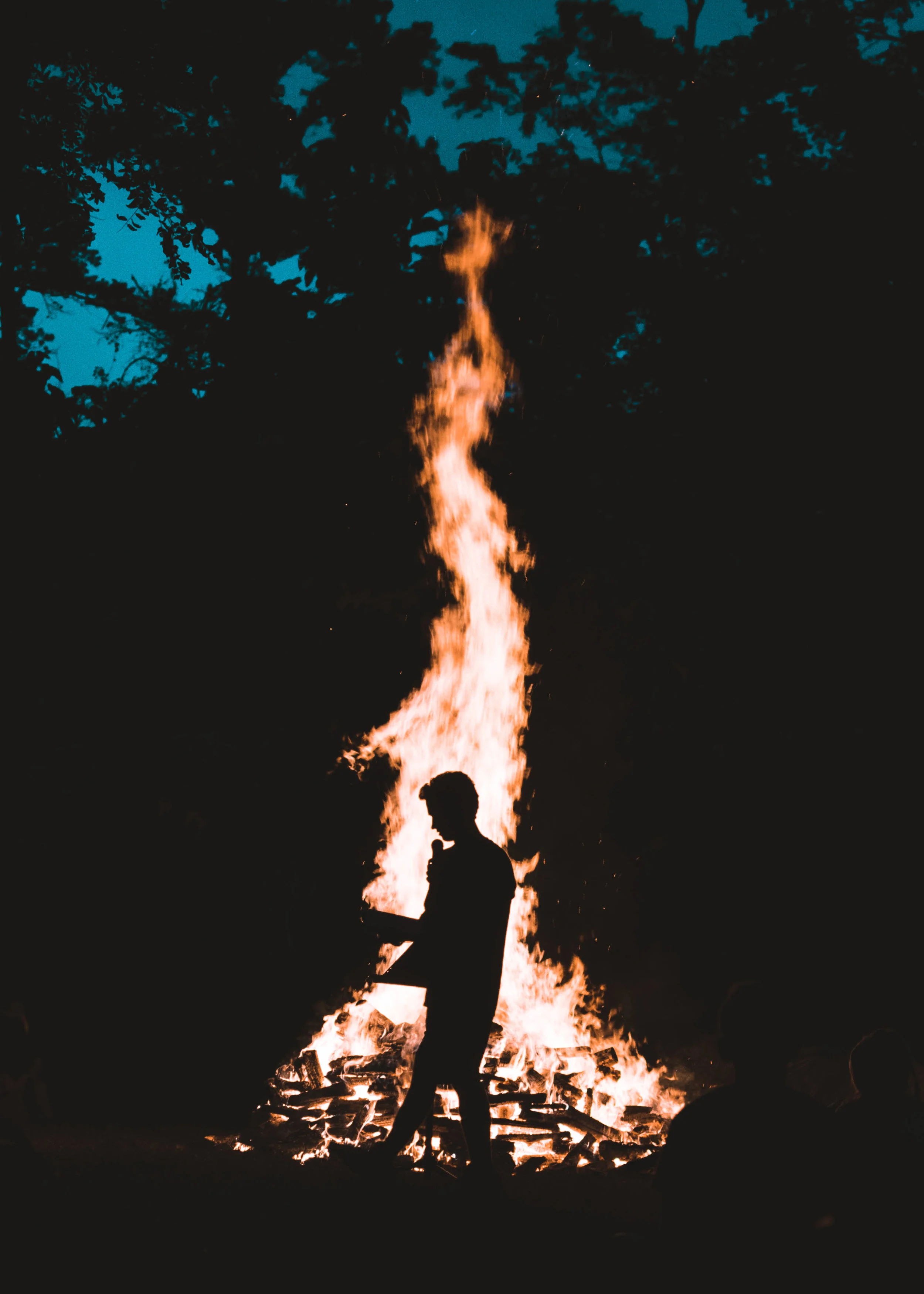 4 (Inexpensive) Ways to Support Bushfire Crisis & Our Earth