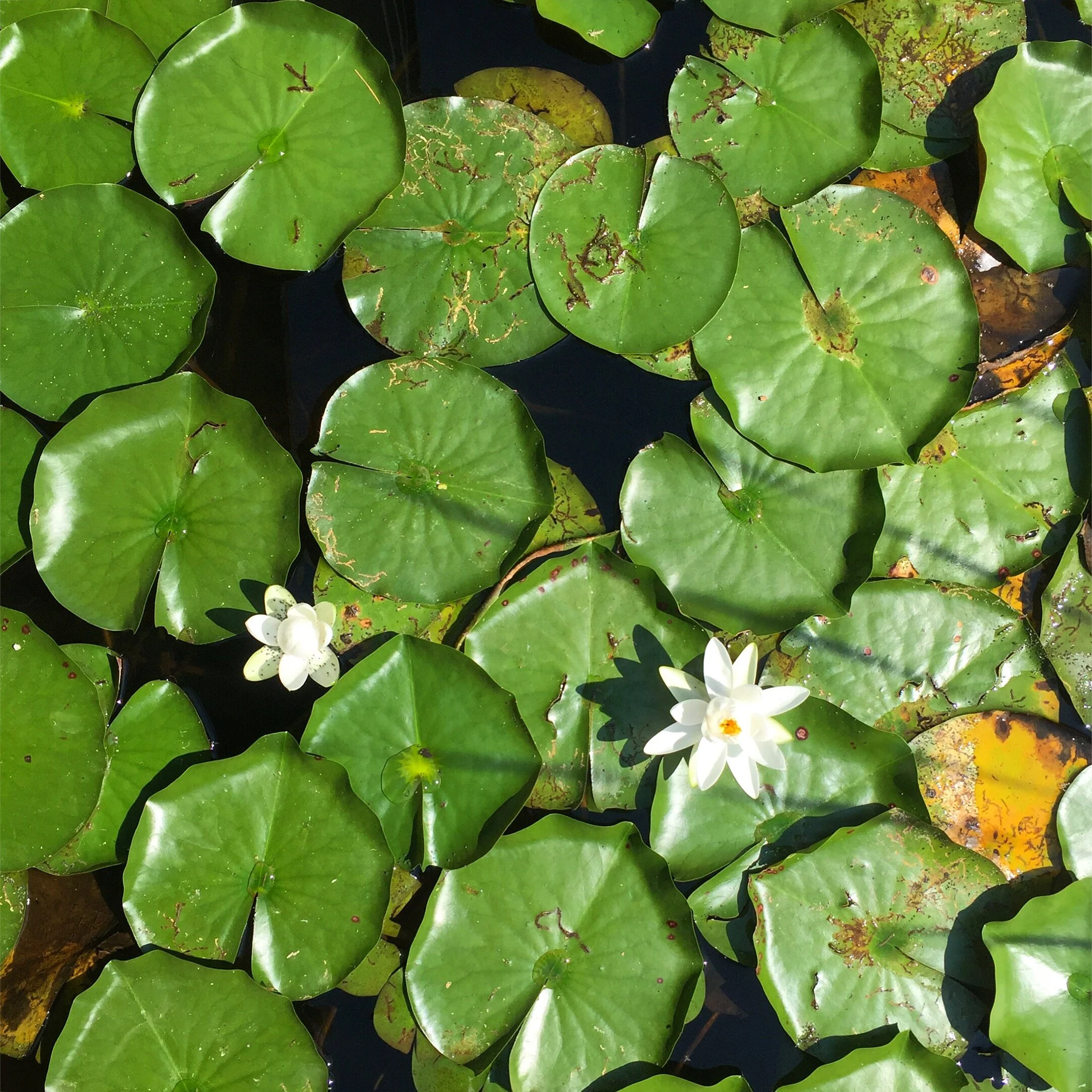Evergreen Brick Works, Toronto, Ontario