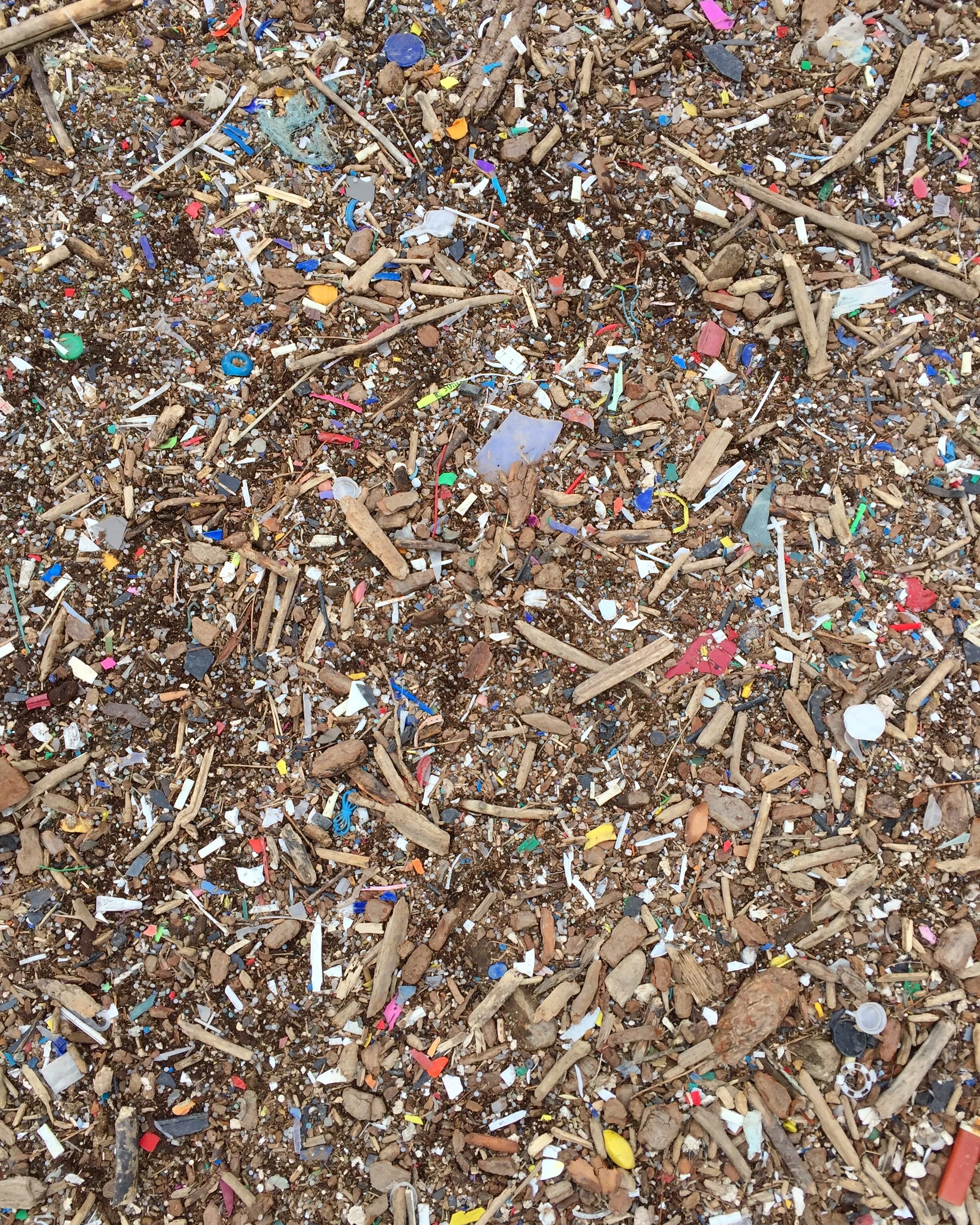 Humber Bay, Toronto, Ontario