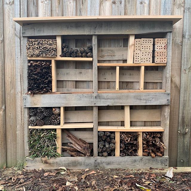 Little bug hotel I&rsquo;ve been working on. Or as I like to call it, the &lsquo;insect inn&rsquo;. A home for anything that&rsquo;s teeny tiny.