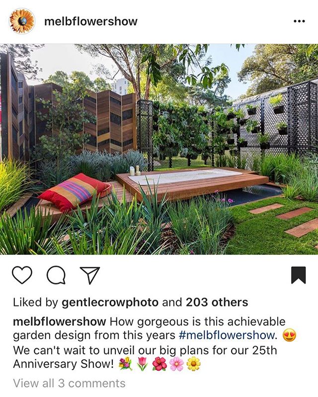 Thanks to @melbflowershow for sharing my garden on their Instagram! 💚🌸