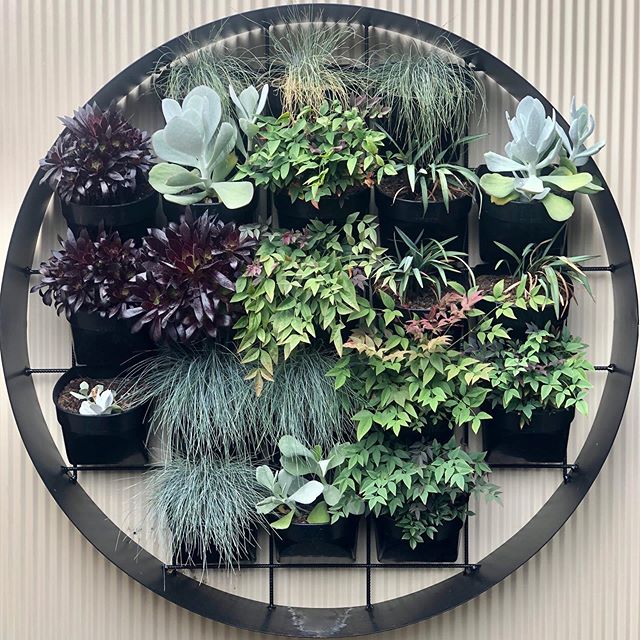 A new product of mine designing and building circular vertical gardens for small spaces
