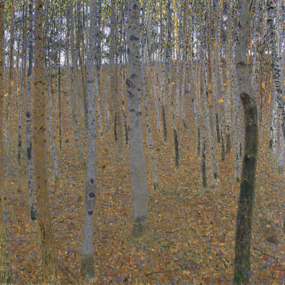 Buchenwald I, 1902