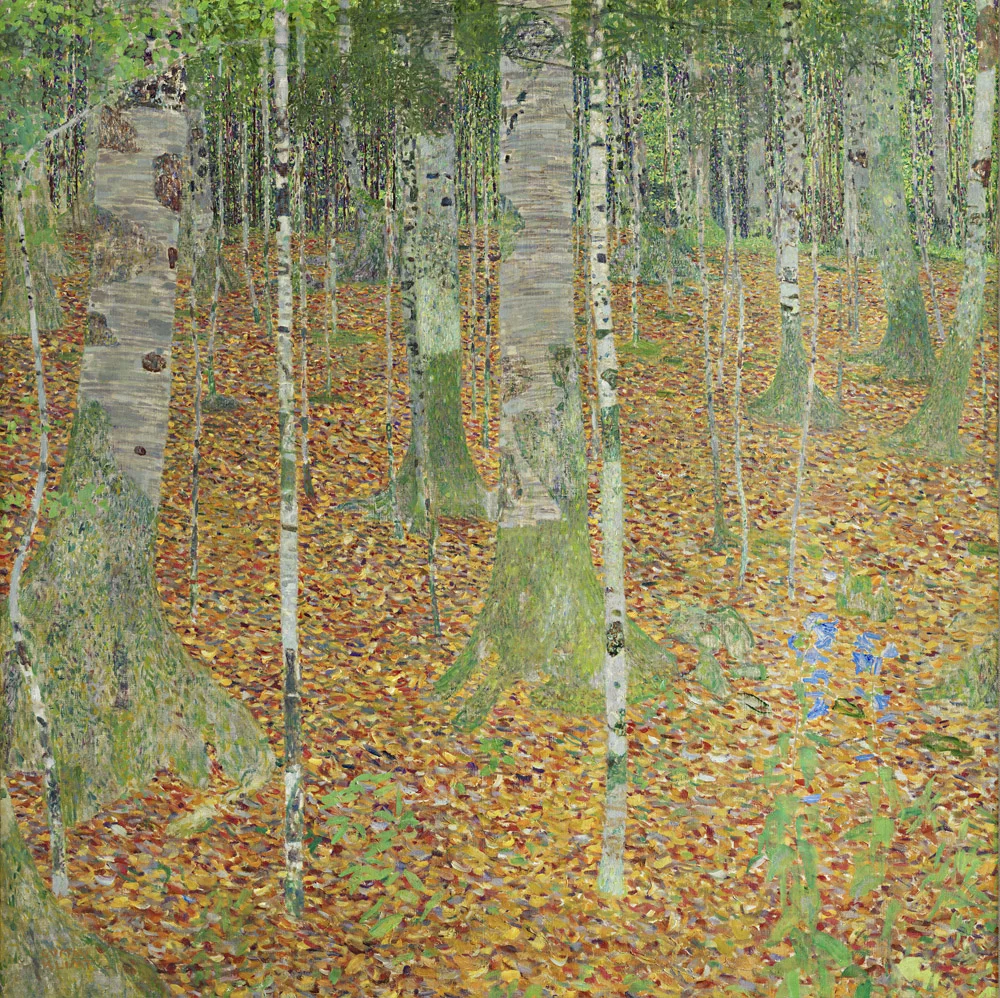 Birkenwald (Buchenwald), 1903