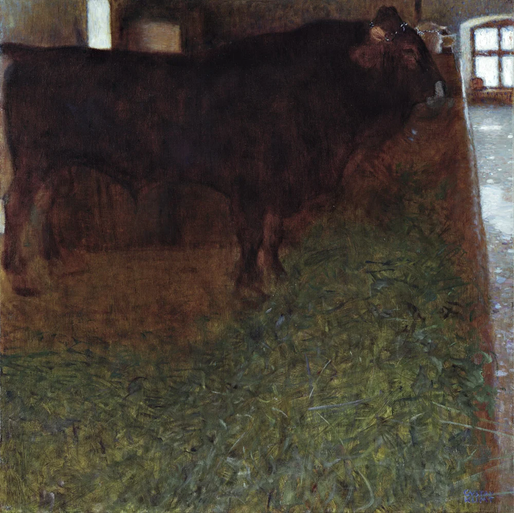 Der schware Stier, 1900