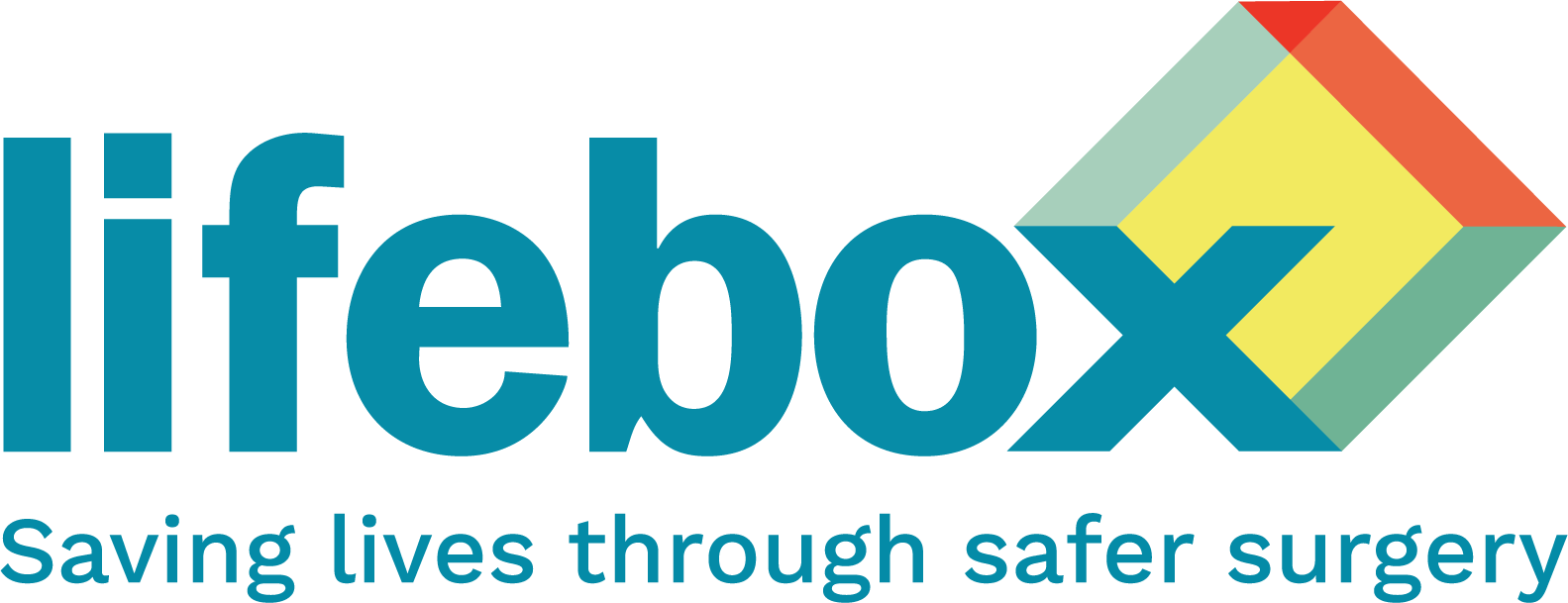Copy of Lifebox_Logo_2021_RGB-Strapline.png