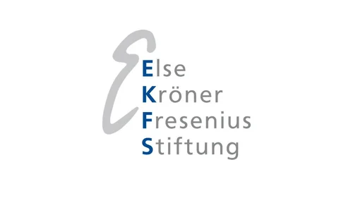 EKFS
