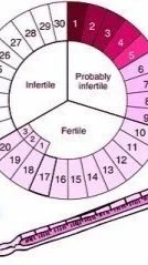 fertility-awareness-method_uvrv9rIwRKW3v4CkYQhQ-300x239.jpeg