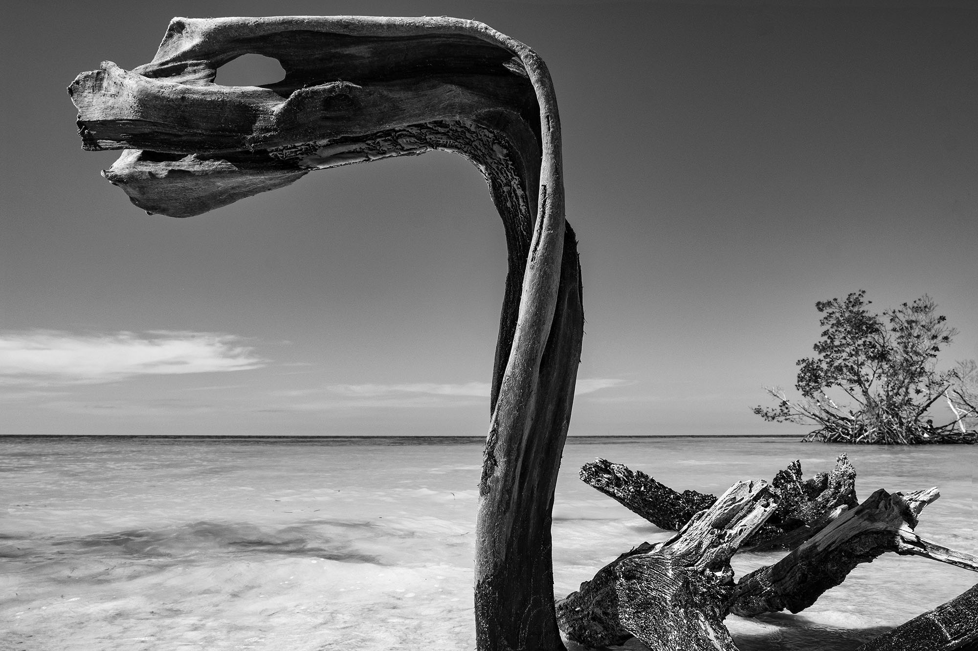 Cayo Yutìas, Cuba  febbraio 2019.jpg